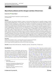 Mycorrhizal symbiosis and the nitrogen nutrition of forest trees - raincitystudios.com