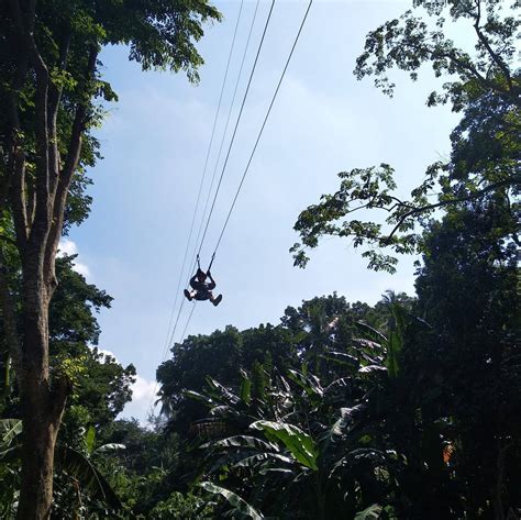 Mysteries of Ancient Scripts | Wisdoms.us - wintechmobiles.com