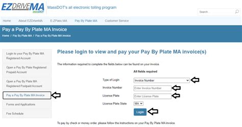 Pay By Plate. Users enter in their licens