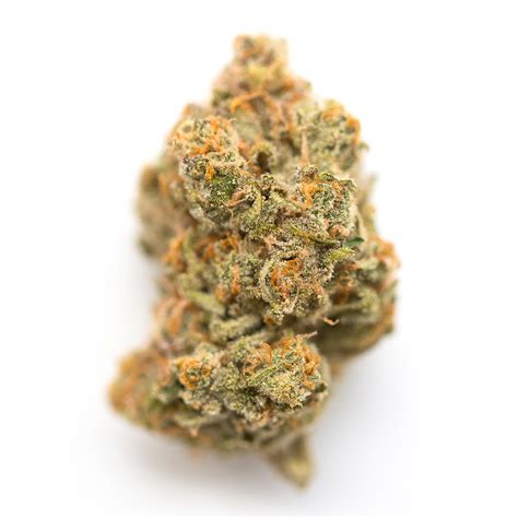 Mac and cheese strain allbud. White MAC is a stony hybrid weed strain made from a genetic cross between Capulator’s MAC and The White. White MAC is 26% THC, making this strain an ideal choice for experienced cannabis consumers. 