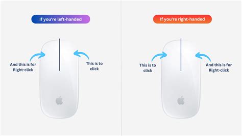 Mac both mouse buttons right click.  The default primary mouse button is...