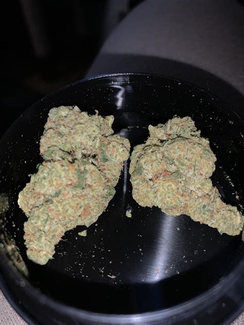 The Mac and Cheese weed strain is an evenly balanced hybrid of 50% indica to 50% sativa that provides equally balanced effects. Its flavor and aroma are incredibly inviting and welcoming, but it’s the ….
