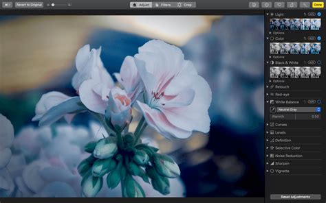Mac pic editor. Feb 20, 2024 · Serif Affinity Photo offers one of the best photo editor and compositor experiences, and it works great on a Mac or PC. It’s packed full of features that would rival its biggest competitors like ... 