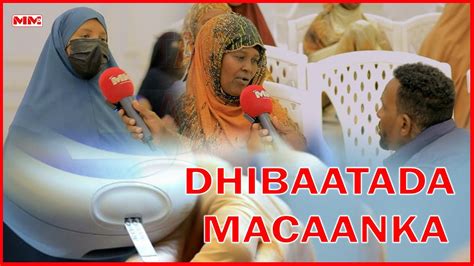 Macaanka dabada.  Iniciar sess&atilde;o no Google Ads Inscreva-se no Google Ads A...