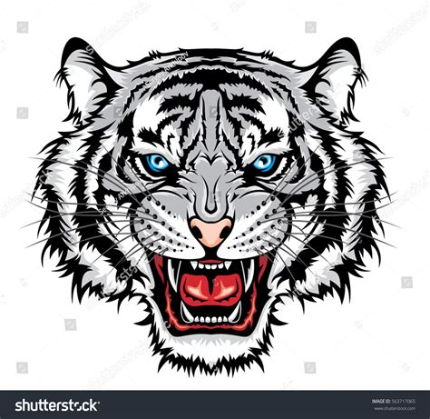 Macan putih vector.  Thousands of new, high-quality pictures added every day.  Ribuan gamba...