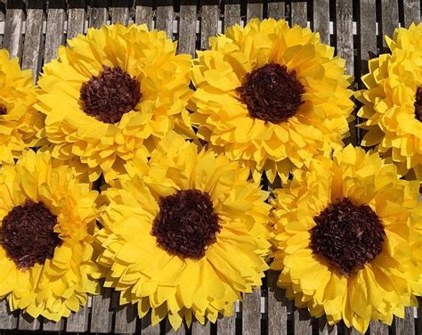 Macaroniminx Leaks +18 26 Photos