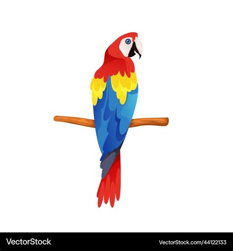 Macaw Icons & Symbols - Flaticon