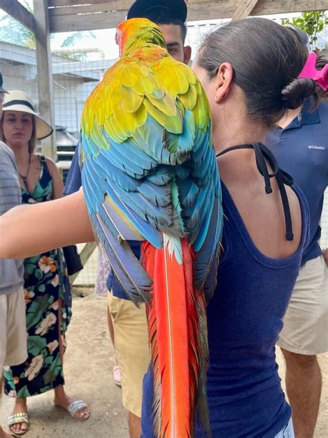 Macaw sanctuary near me. .  <a href=https://rezhenergohab.ru/xpii15/peaky-blind...