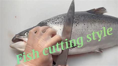 Machli kaise karti hai. .  <a href=https://app.loecos.me/assets/images/ciix7/...