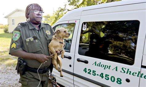 Macon county animal control. Things To Know About Macon county animal control. 