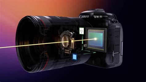 Macro IS STM has 5 stops In-lens Image Stabilization and up to 6.