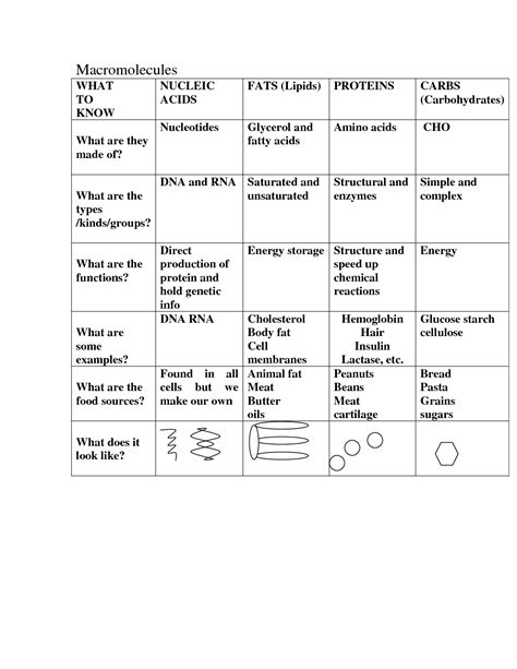 Macromolecules Worksheet