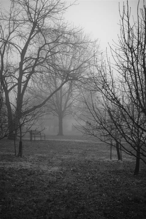 Macrumors Forum (2025)