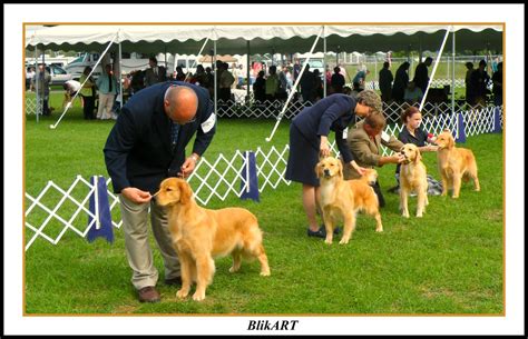 all-breed dog show, annual obedience & rally trial macungie memorial park 50 poplar street, route 100, macungie, pa 18062 saturday, september 18, 2021 show hours: 8:00 a.m. to 7:00 p.m. judging of breed classes starts at 8:30 am move ups must be made by 8:00 am judging of obedience classes starts at 8:30 am. 