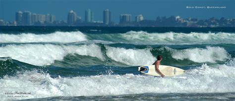 Macwhale Onlyfans Leak PORN 🍑