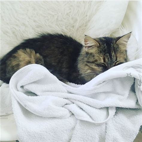 Madame_Lux Onlyfans Leaked PORN 61 Photos