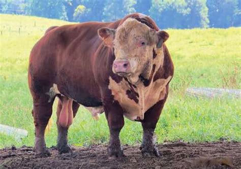 🍌 XXX Maddiejoex Onlyfans Leak