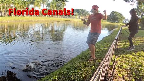 Made it to Florida, Canal Fishing in Boca Raton - YouTube