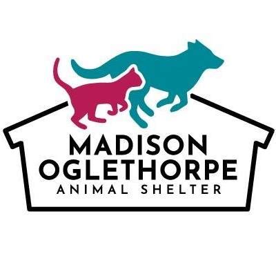 Madison oglethorpe animal shelter. Please call the shelter at (706) 795-2868 to schedule a meet and greet. Madison Oglethorpe Animal Shelter is a non-profit shelter serving over 720 square miles. We are open intake, meaning we can not turn away animals from either county we serve. 