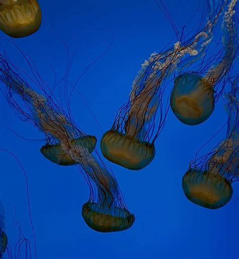 💋 Madison.Faith Onlyfans Leak [SEX VIDEO] 63 Vids