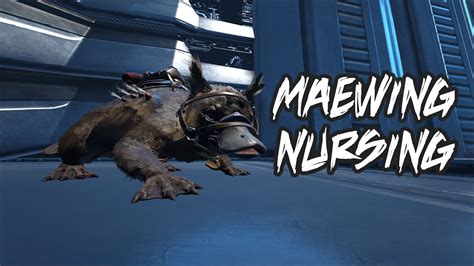 Today We Finally Finish the Maewing Breeding pen and Get Maewing Mutations in ark survival evolved genesis part 2!Try Verb Energy Bars 50% Off Today! https:/...