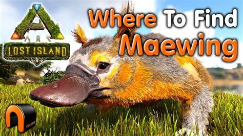 Maewing spawn locations lost island. Things To Know About Maewing spawn locations lost island. 
