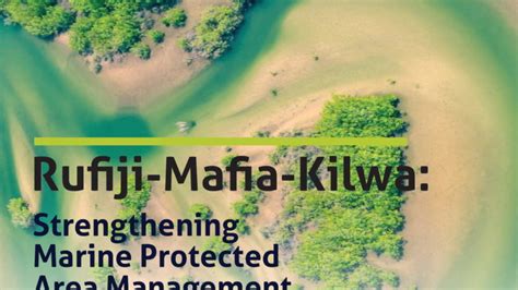 Mafia and kilwa into africa travel guide series. - Guida alla programmazione networx nx 8v2.