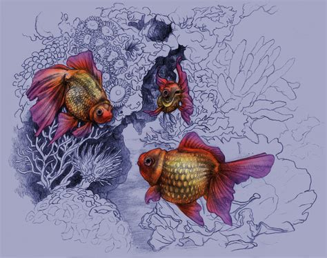 Magellin . Blog June 2012