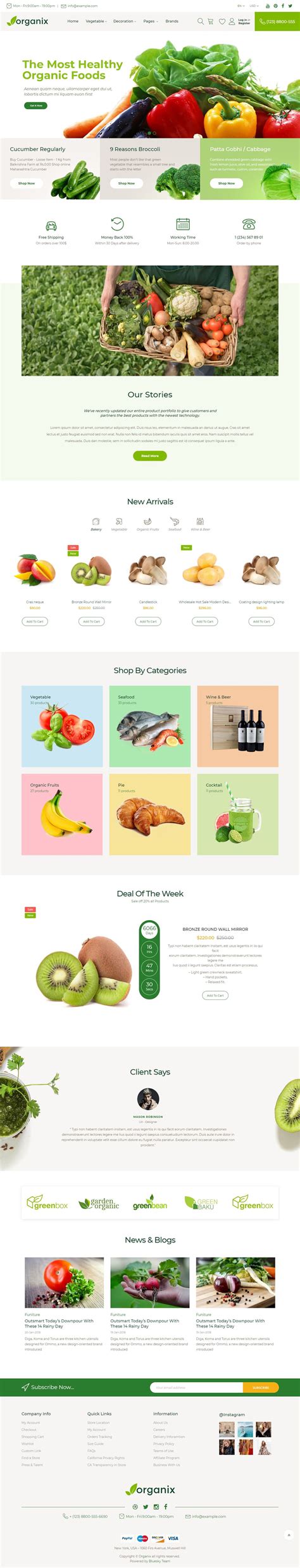 Magento Ecommerce Templates Free Tigren