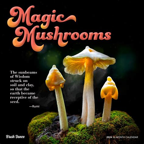 Magic Mushrooms 2024 Square Wall Calendar Brush Dance