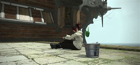 Magic bucket ffxiv. Magic Bucket. A fisherman's best friend. He sloshes instead of slobbers. Use item to acquire the magic bucket minion. [Suitable for printing on small canvases, for some reason.] There was once a young fisher-cum-sorceress who, cursing the fact she was born with only two hands with which to carry her myriad tackle, called upon the power of ... 