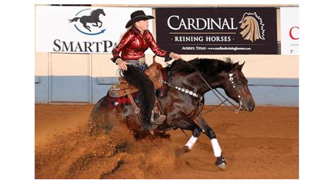 Magicality Quarter Horse