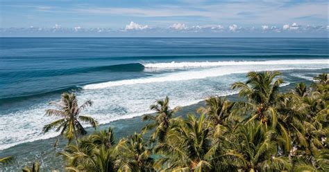 Magicseaweed lahaina. Get today's most accurate Honolua Bay surf report and 16-day surf forecast for swell, wind, tide and wave conditions. 