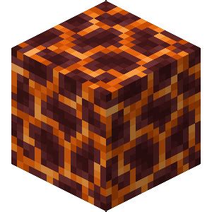 codini.rgarabwor.edu.pl. 