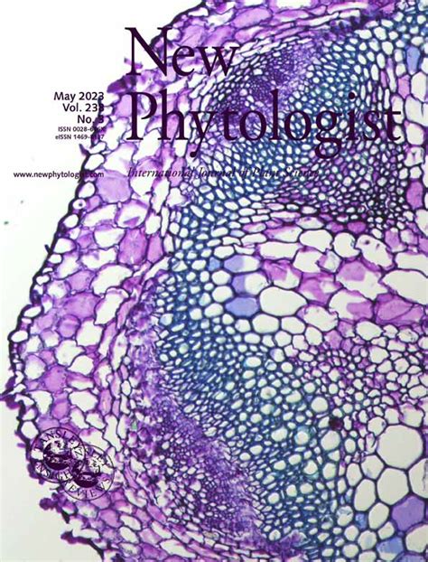 Magnaporthe oryzae endoplasmic reticulum membrane complex …