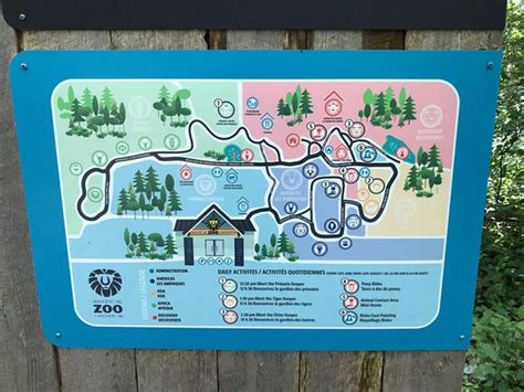 Magnetic Hill Zoo... - City of Moncton / Ville de Moncton Facebook