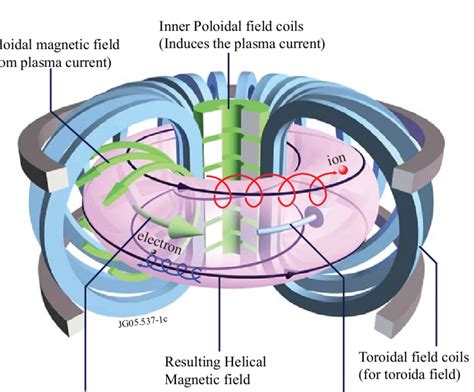 Magnetic field measurements in tokamak plasmas - osti.gov