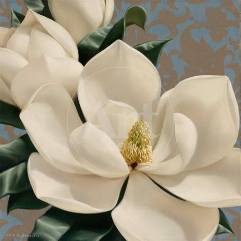 Magnolia Canvas Prints & Wall Art - Fine Art America