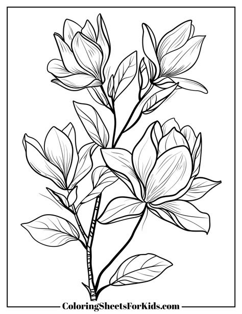 Magnolia Coloring Shee