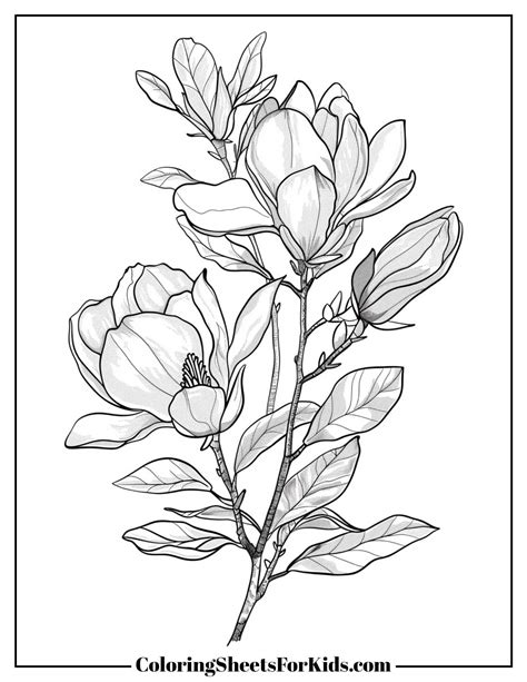 Bird Coloring Pictures
