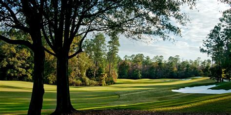 Magnolia grove golf course. Skip to main content 