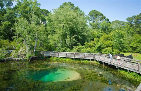 Magnolia springs state park ga. Magnolia Springs State Park camping reservations and campground information. Learn more about camping near Magnolia Springs State Park and reserve your campsite today. 