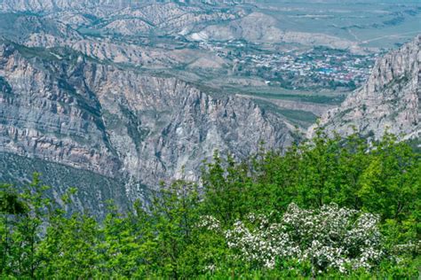 Mahackale Halı ve Koltuk Yıkama