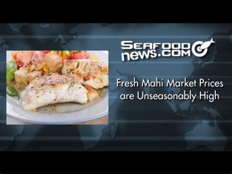 Mahi Mahi Market Price