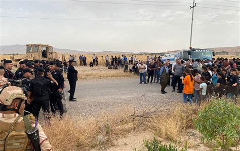 Mahmur Halı ve Koltuk Yıkama