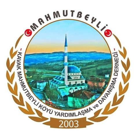 Mahmutlu Halı ve Koltuk Yıkama