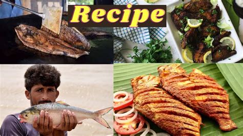 Mahseer fish recipes frying cooking free guide. - The complete guide to auto body repair.