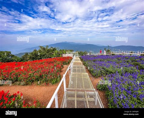 🔥 Mai Yin Yong Leaked [SEX VIDEO]