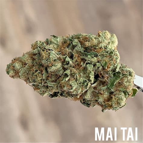 Mai tai strain leafly. This Sativa-dominant hybrid (60/40) is a tasty, tropical strain with tangy citrus notes. It will make you feel uplifted and relaxed with a nice body high. A ... 