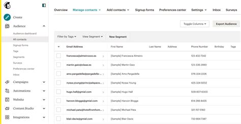 Mailchimp Adding contacts to your list YouTube